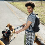 Young man walking dogs during summer break