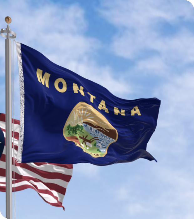 montana flag 620 701